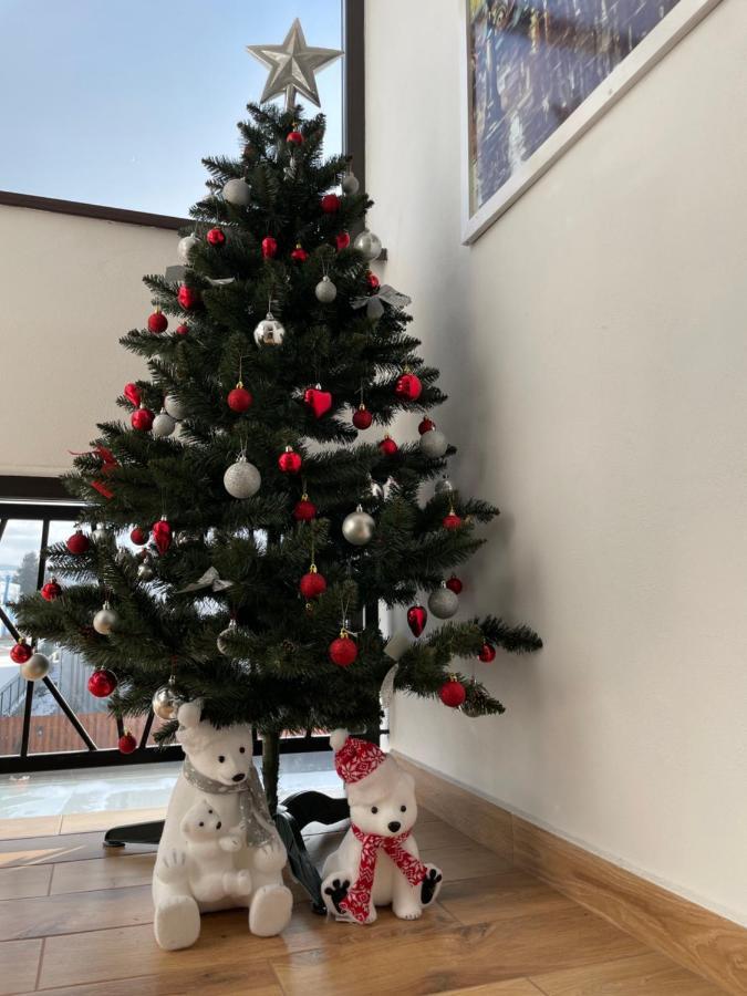 Alpin Rooms Topliţa 外观 照片