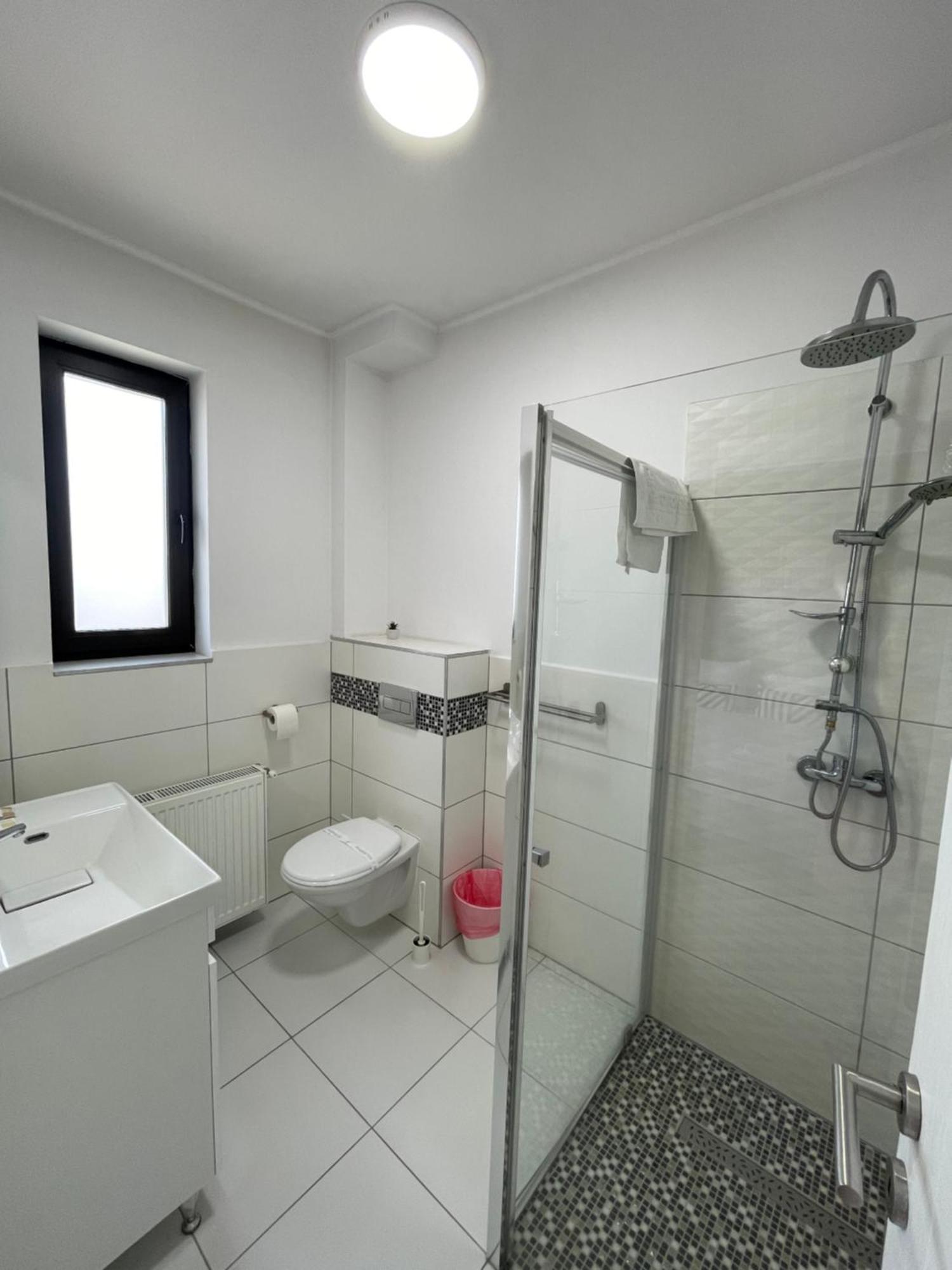 Alpin Rooms Topliţa 外观 照片
